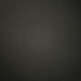 LeBloom society logo